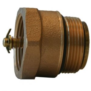 Inlet Check Valves